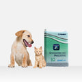 Empapadores para Mascotas 60x60 cm – Pack 10 Uds, Absorción Multicapa, Impermeable